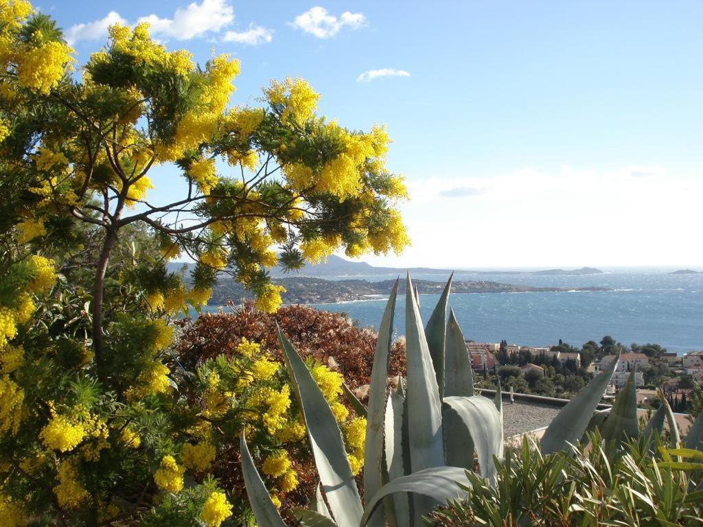 T2 Bandol Ideal Vacances 2 Etoiles Luaran gambar